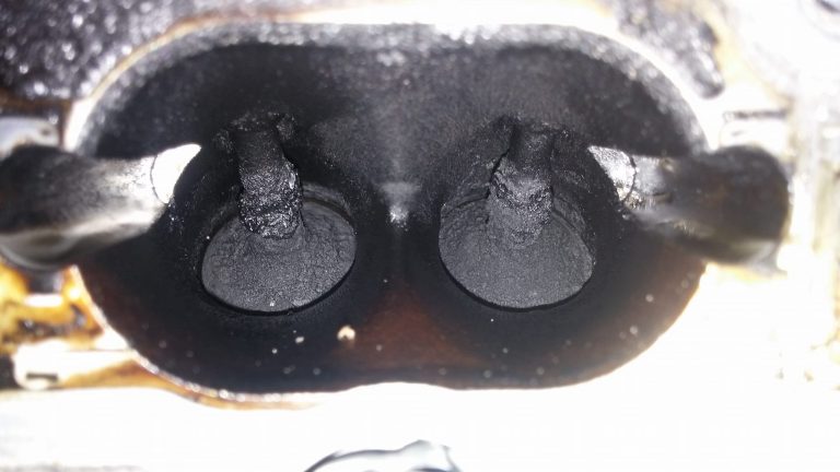 Going “Nuts” Over Carbon